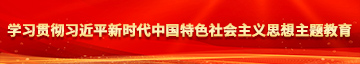 男人靠BBB视频网站学习贯彻习近平新时代中国特色社会主义思想主题教育