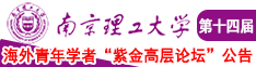 jjjjBBBB欧美性南京理工大学第十四届海外青年学者紫金论坛诚邀海内外英才！